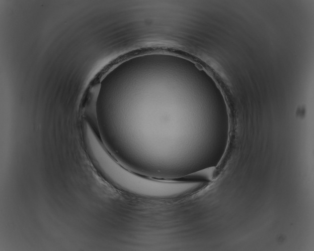 X0000093251022200710171420