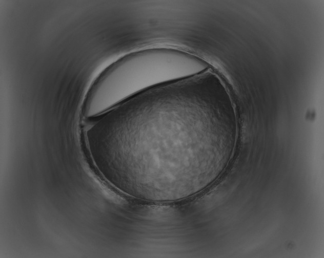 X0000093251024200710171420