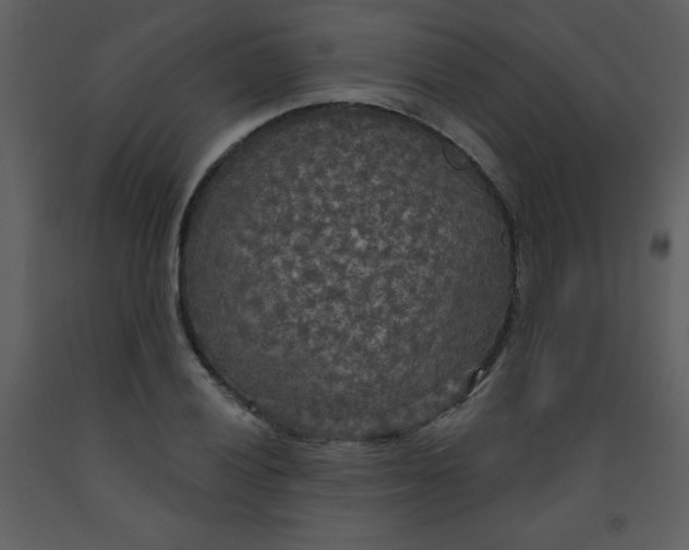 X0000093251028200710171421