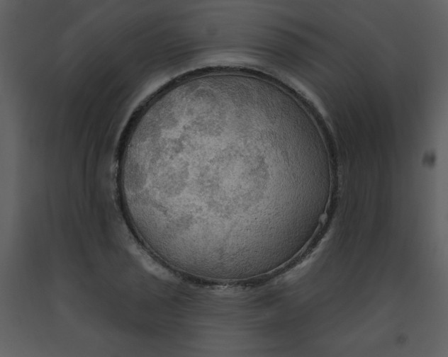 X0000093251029200710171421