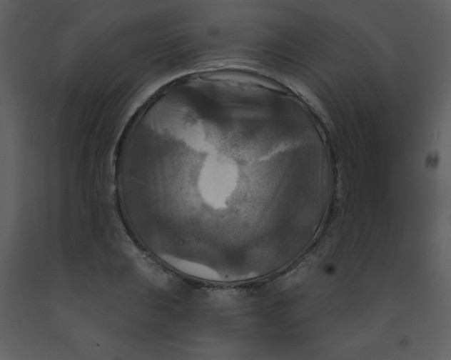 X0000093251031200710171421