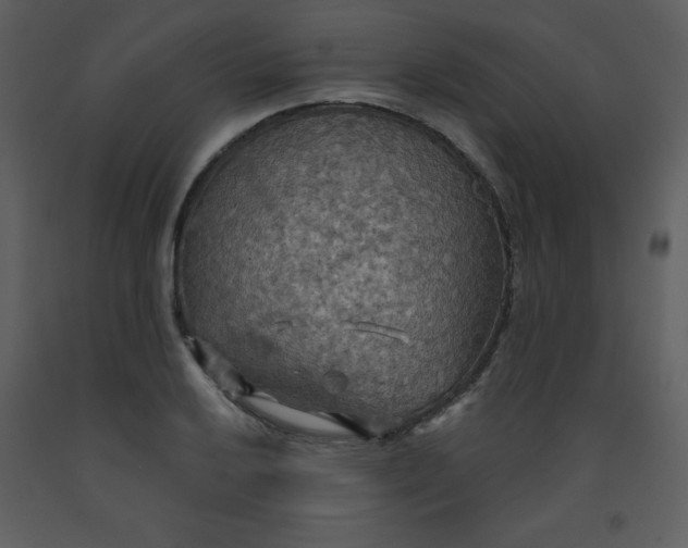 X0000093251032200710171421