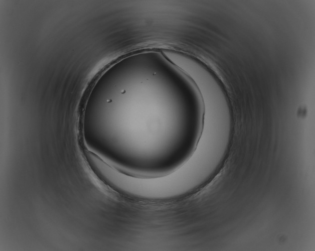 X0000093251034200710171421