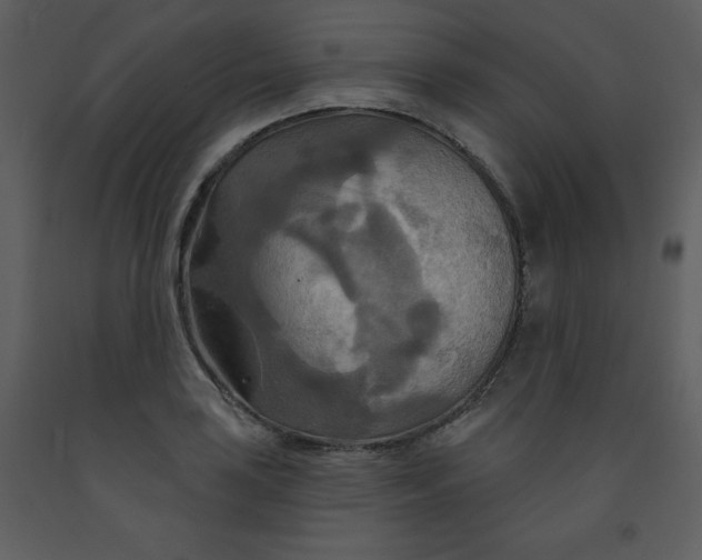 X0000093251035200710171421