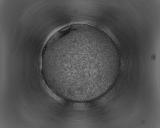 X0000093251036200710171421