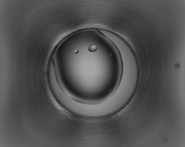 X0000093251038200710171421