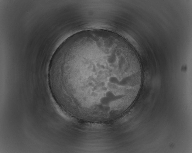 X0000093251039200710171421