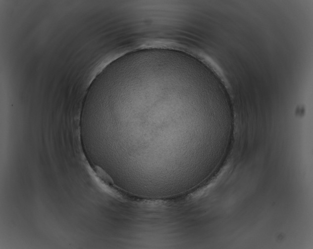 X0000093251041200710171421