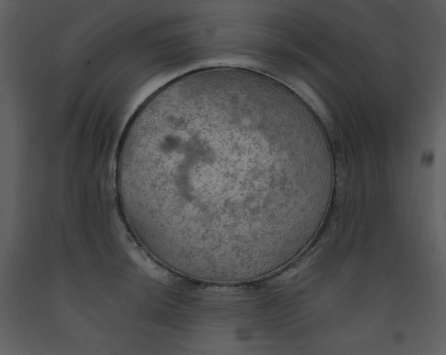 X0000093251044200710171421