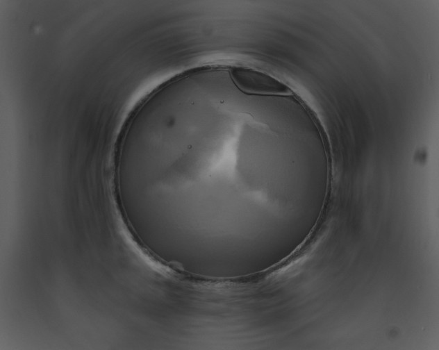 X0000093251045200710171421