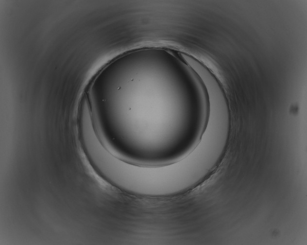 X0000093251046200710171421