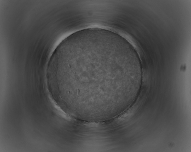 X0000093251048200710171421