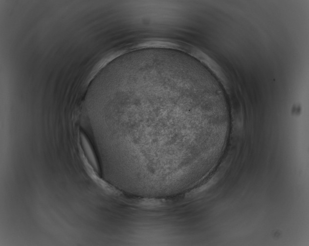 X0000093251049200710171421