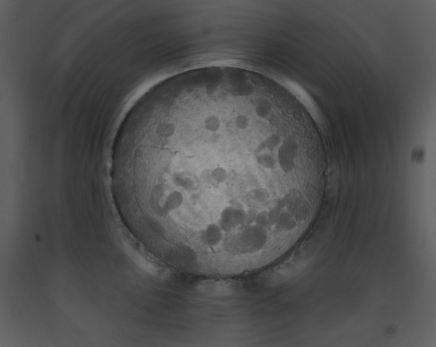 X0000093251051200710171421