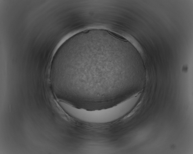 X0000093251052200710171421