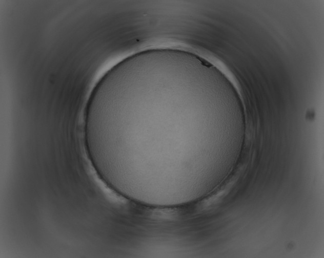 X0000093251053200710171421