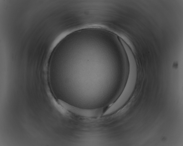 X0000093251054200710171421