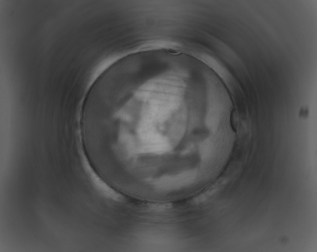 X0000093251055200710171421