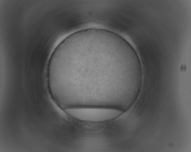 X0000093251056200710171421