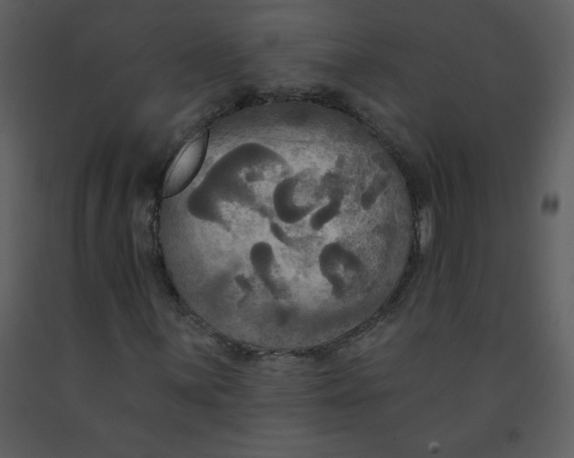 X0000093251059200710171420