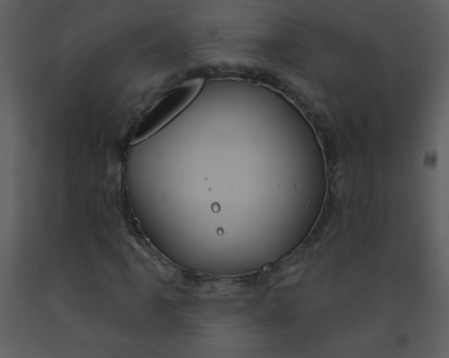 X0000093251061200710171420