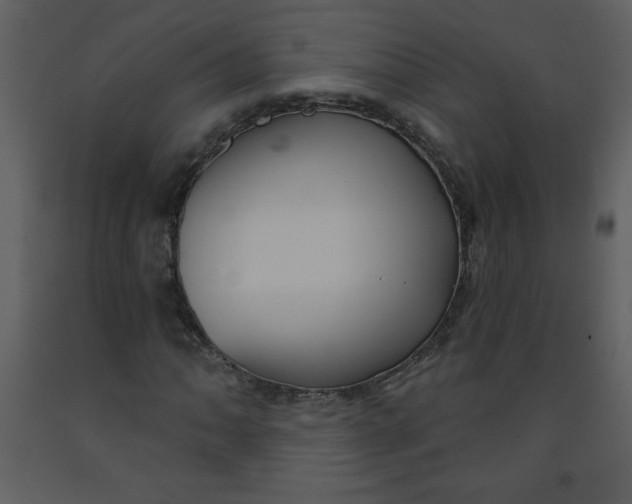 X0000093251062200710171420