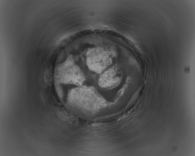 X0000093251063200710171420