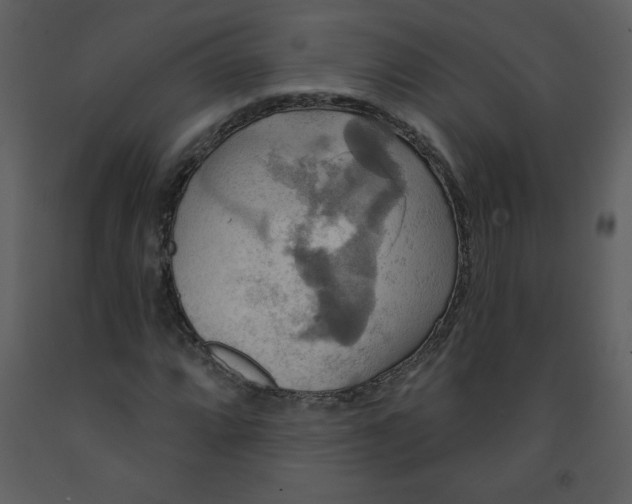 X0000093251064200710171420