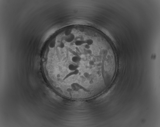 X0000093251067200710171420