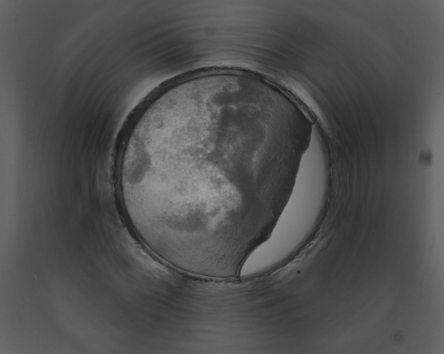 X0000093251068200710171420