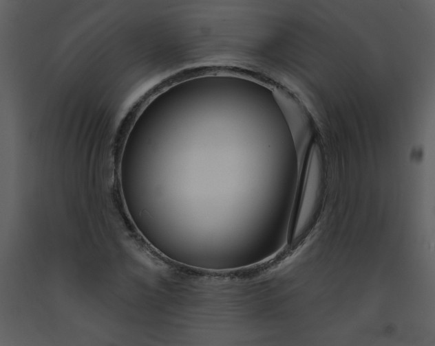 X0000093251069200710171420