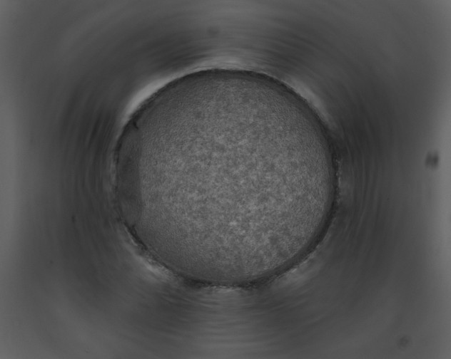 X0000093251070200710171420