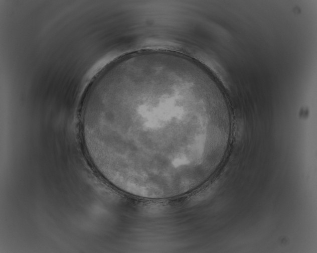 X0000093251074200710171420