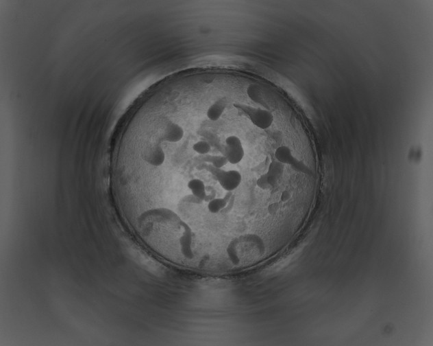 X0000093251075200710171420