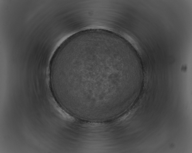 X0000093251076200710171420