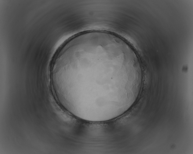 X0000093251078200710171420