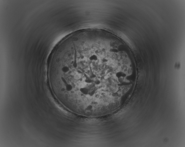 X0000093251079200710171420