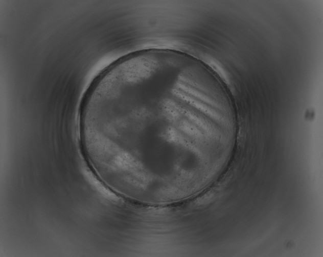 X0000093251080200710171420