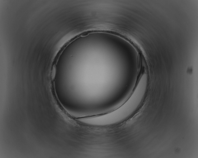 X0000093251085200710171420