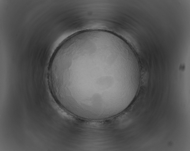 X0000093251086200710171420