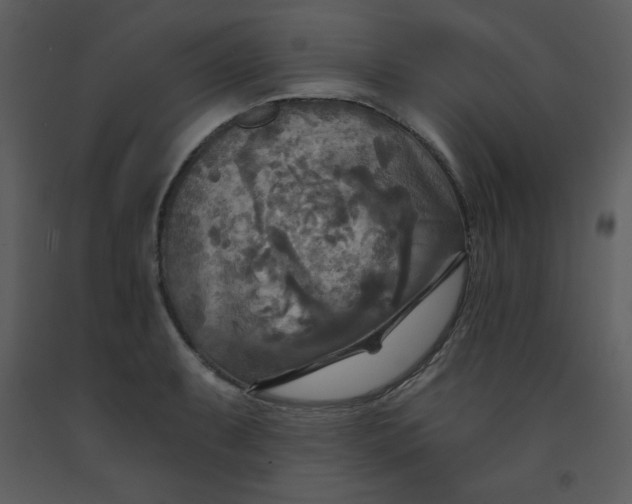 X0000093251087200710171420