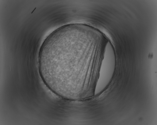 X0000093251088200710171420