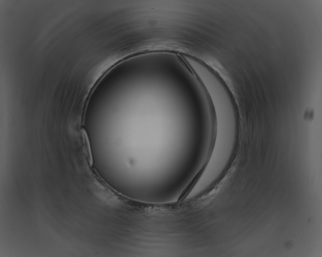 X0000093251089200710171420