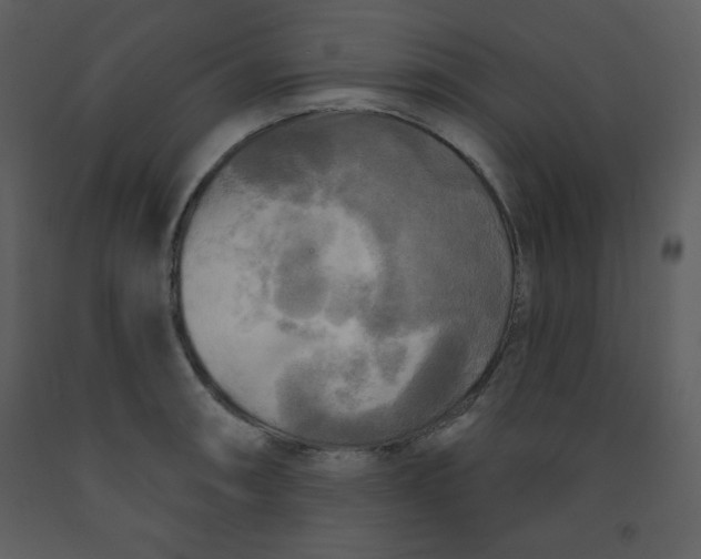 X0000093251090200710171420