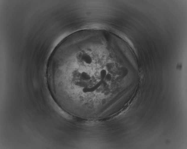 X0000093251091200710171420