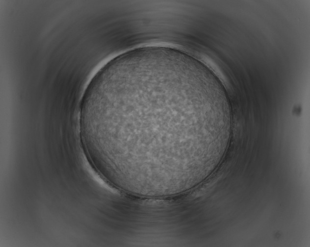 X0000093251092200710171420