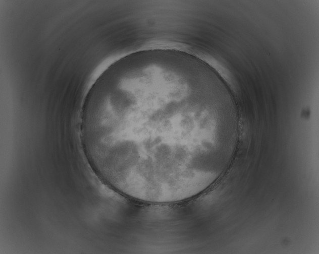 X0000093251094200710171420