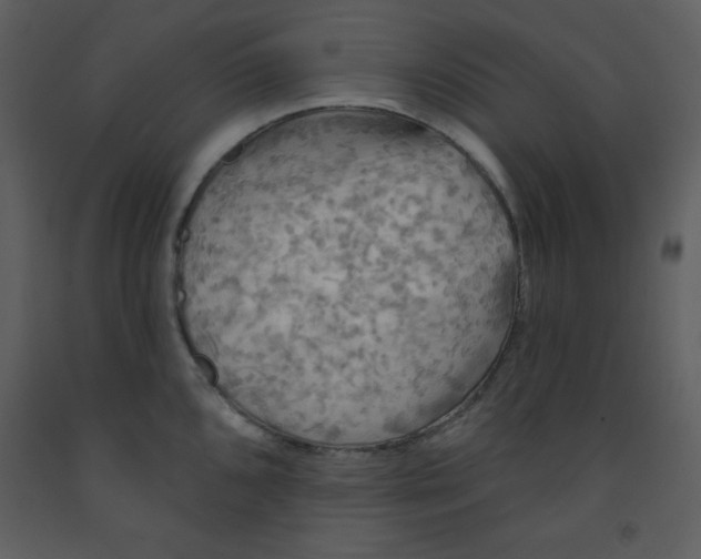 X0000093251096200710171420