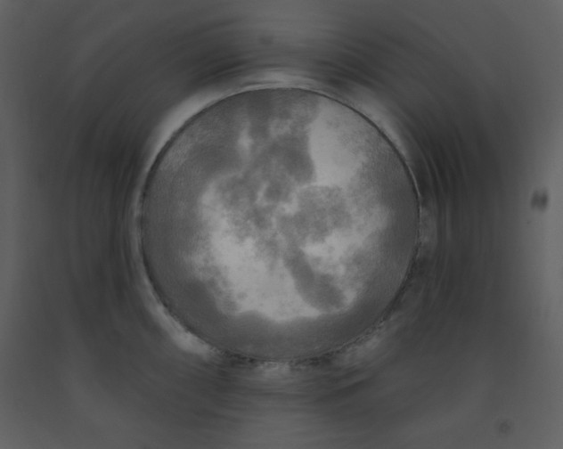 X0000093251098200710171420