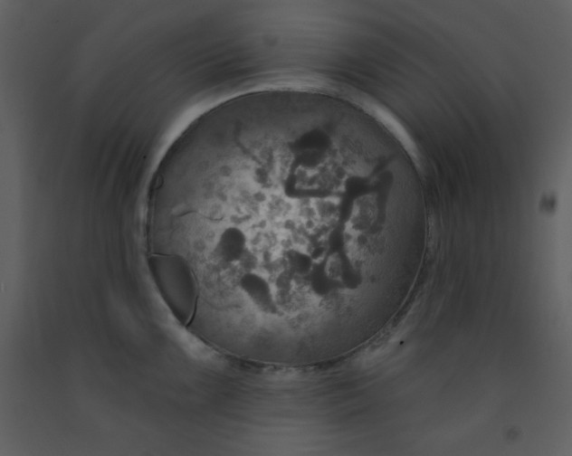 X0000093251099200710171420